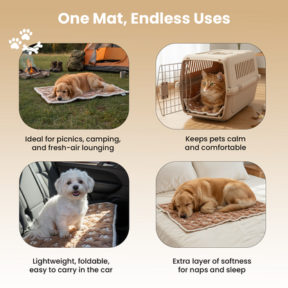 Little Dedi PetMat in Biscuit Beige | Organic Cotton Crate Pad for Small Dogs, Cats & Nursery | Seamless & Reversible | Washable | 3D Knit Comfort | 16X24 in Mat for Crates or Changing Tables