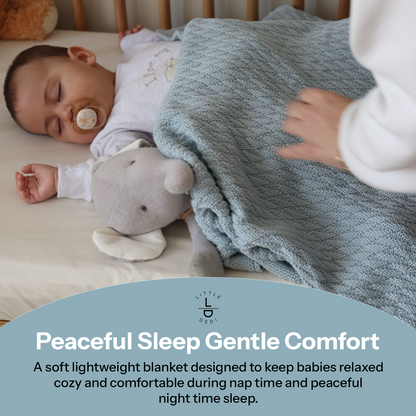 Little Dedi 100% Organic Cotton Baby Knitted Blanket with Gift Box - Soft Toddler, Crib, Stroller Blanket - Neutral Swaddle and Receiving Blanket for Newborns, 30"x40", Baby Blue
