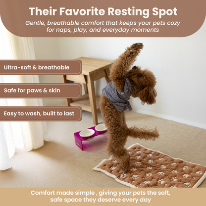 Little Dedi PetMat in Biscuit Beige | Organic Cotton Crate Pad for Small Dogs, Cats & Nursery | Seamless & Reversible | Washable | 3D Knit Comfort | 16X24 in Mat for Crates or Changing Tables